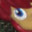 Ranma & Ukyou