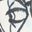 Kelly Ink